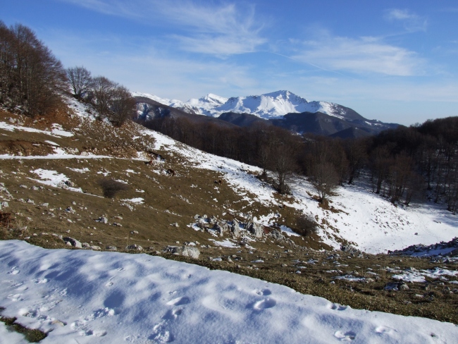 Versante laziale del Parco Nazionale d''Abruzzo